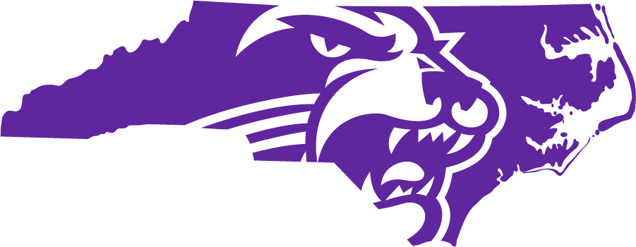 Western Carolina Catamounts 2018-Pres Secondary Logo diy DTF decal sticker